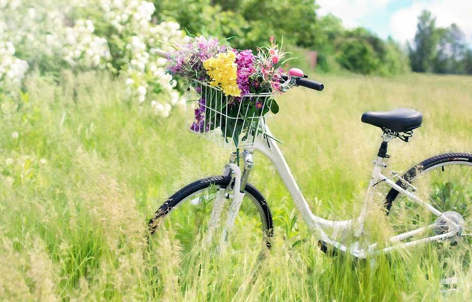 Fahrrad Best Western Hotel Tulln