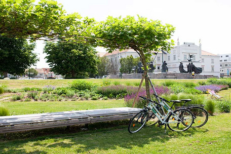 Tulln